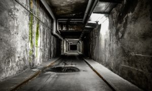 Risk as a Motivational Practice [Leadership]