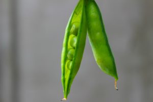Giving Your PMO Personality [Leadership]