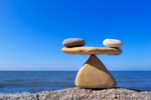 COVID Led Portfolio Re-Balancing [Business Acumen]